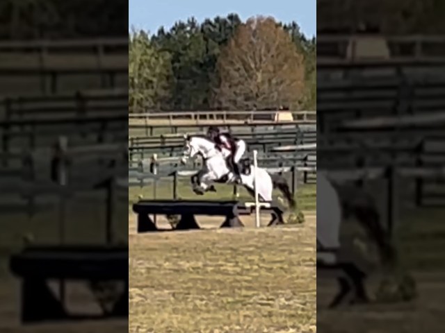 make sure you go check out the new vlog!! #eventing #horseshow #stableview