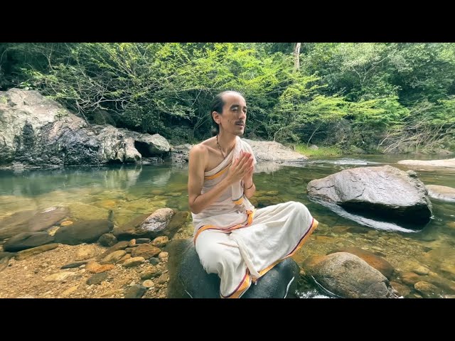 Sudarshana Ashtakam (live chanting) | lyrics & meaning