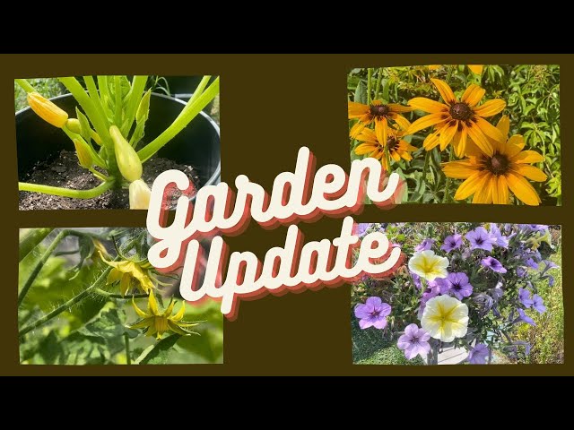 Relaxing Garden Walkthrough: Tomatoes, Squash, Cucumbers, Bell Peppers, Flowers, and More