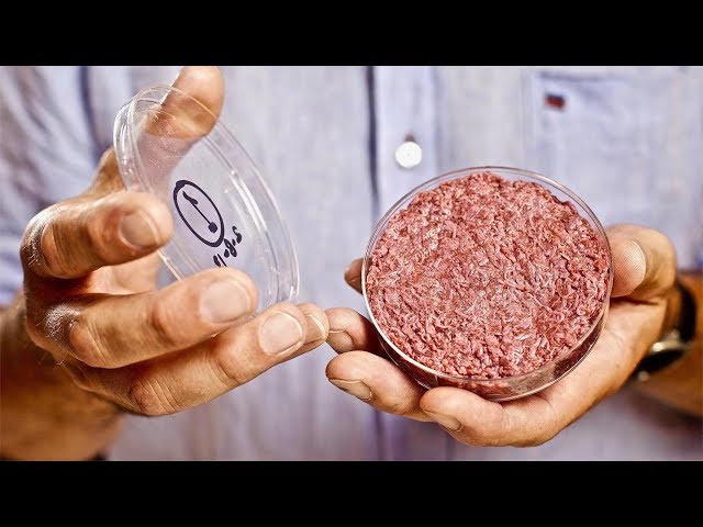 First Company To Lab Grow Meat - Clean & Cultured - Memphis Meats