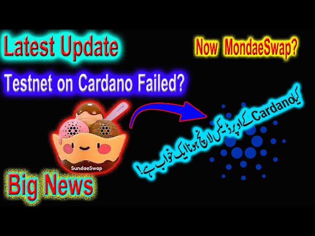 Big News Sundaeswap Testnet on Cardano Failed? | Update Cardano