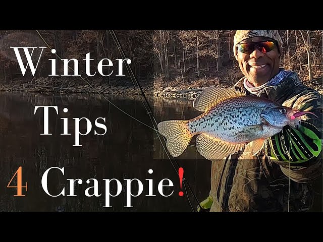 Winter Crappie Fishing Tips: Uncover the Secret of Stump Stacked Crappies!!