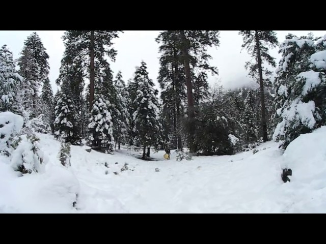 Forest falls san bernardino californis 360 video vr(2)