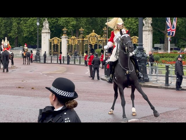 King's Guard Displays Great Level of Horsemanship As Horse Spooked