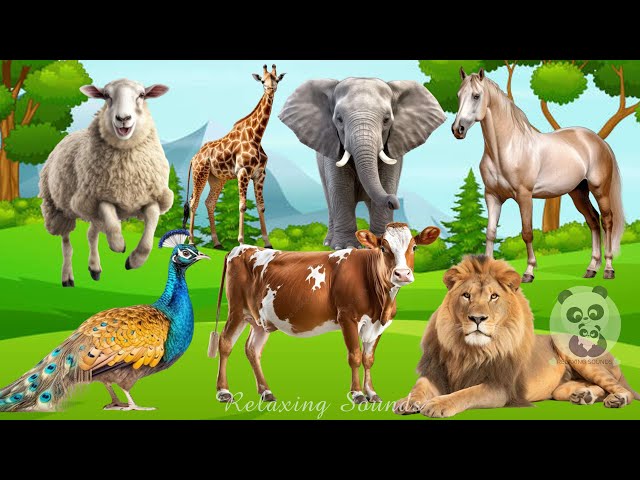 Interesting animals around us: Sheep, Elephant, Giraffe, Horse, Peacock, Cow, Lion