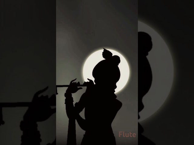 Krishna flute #shorts #flute