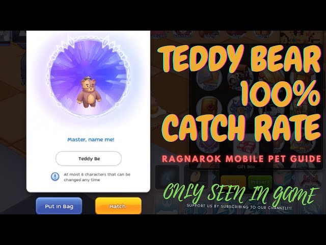 HOW TO CATCH TEDDY BEAR 100% SUCCESS PET GUIDE [Ragnarok M: Eternal Love (SEA)] | Only Seen In-Game