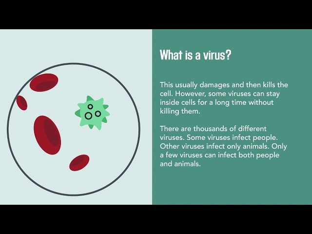 Viral Infections: Causes, Diagnosis, Prevention, and Treatment | Merck Manual Consumer Version