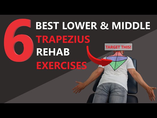 6 BEST Science-Based Lower & Middle Trapezius Rehab Exercises!