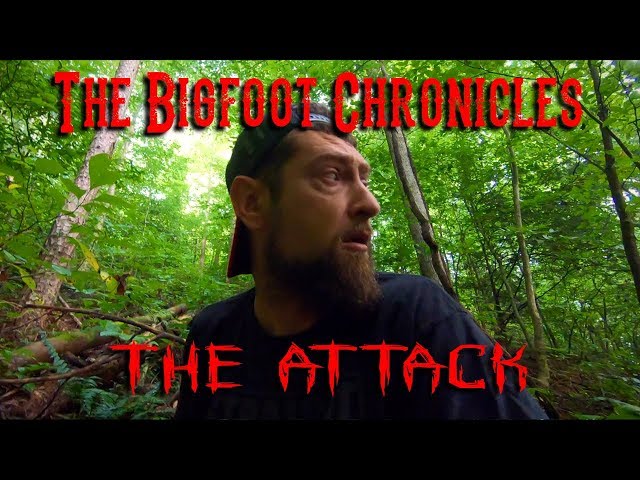 The Bigfoot Chronicles Ep.5 The attack