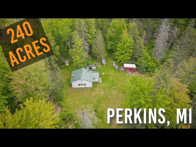 $325,000 | 240 Acres, River & Off Grid Cabin | Perkins, MI - Century 21 Trophy Class