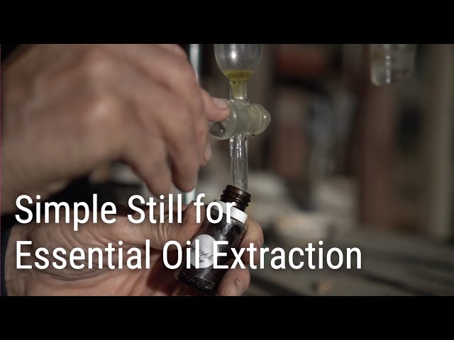 Using a Simple Still for Home Extraction of Essential Oils