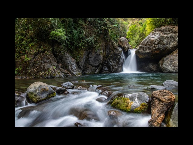 Relaxing River Stream Sounds -  Nature Sounds, Singing Birds Ambience