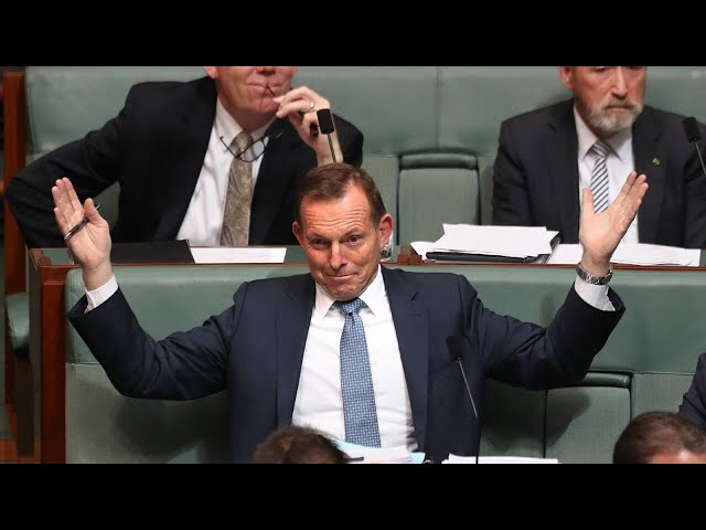 ‘Train wreck’: Tony Abbott slams Labor’s ‘economic self-harm’ over energy debate