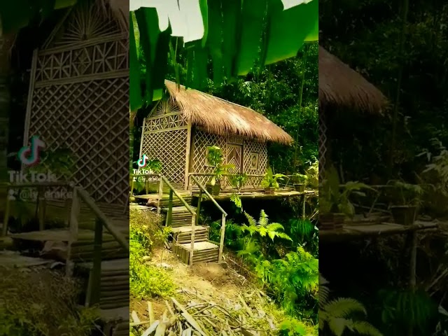 Free Life 2 I My bamboo villa in the forest #tienphuongbuildingfuturelife #livestock