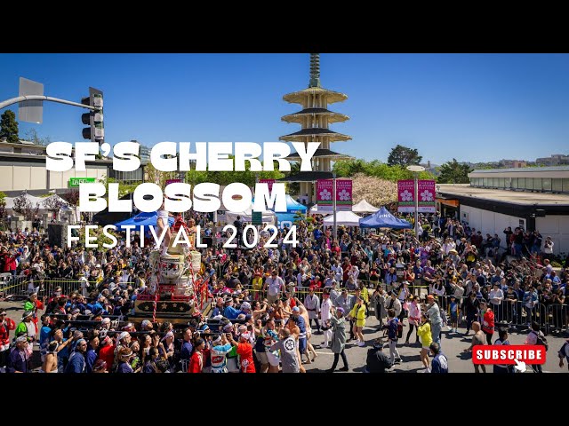 SF'S 2024 CHERRY BLOSSOM FESTIVAL (April 13-21, 2024)