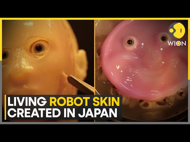 Japanese scientists create living robot skin with human cells | Latest News | WION