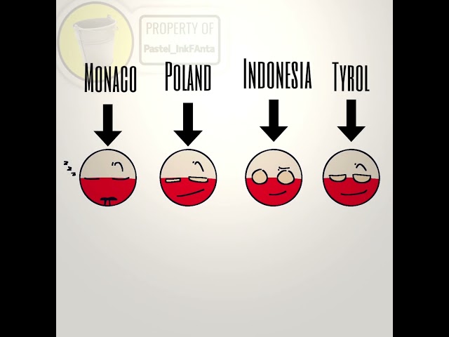 With one is the real poland? (They Both quited after this) || #countryballs || My tt video