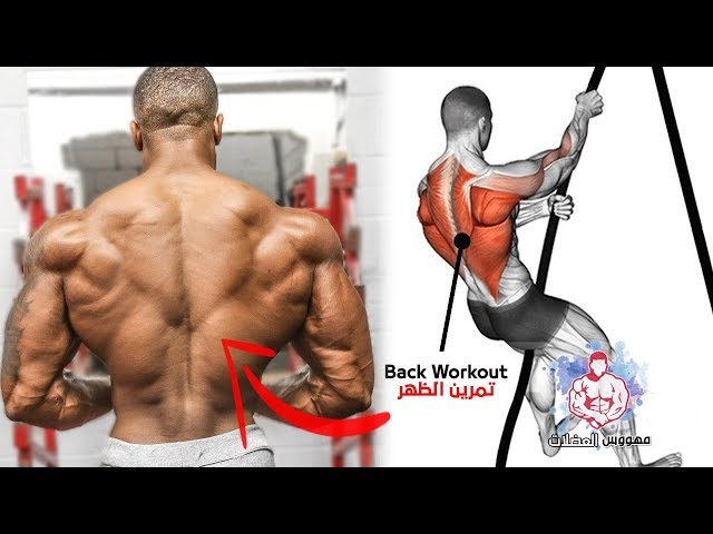 BEST 7 EXERCISES TO INCREASE BACK WIDTH AND AMPLITUDE