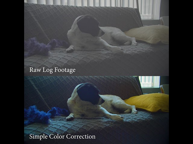 Raw vs Color Corrected Black Magic Pocket Cinema 4k Footage Comparison