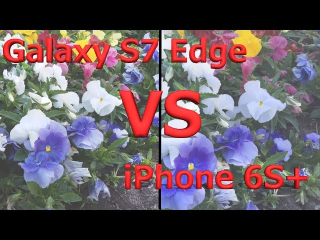 Galaxy S7 Edge vs iPhone 6s Plus - Video Camera Test!