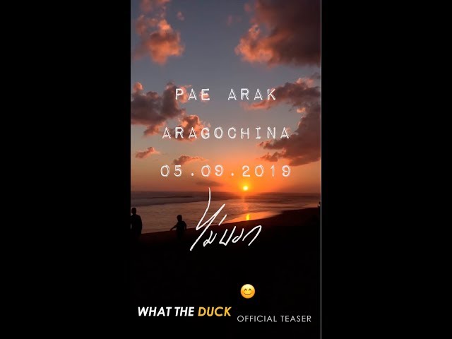 Pae Arak - ไม่บอก (Don't Tell) [Official Teaser]