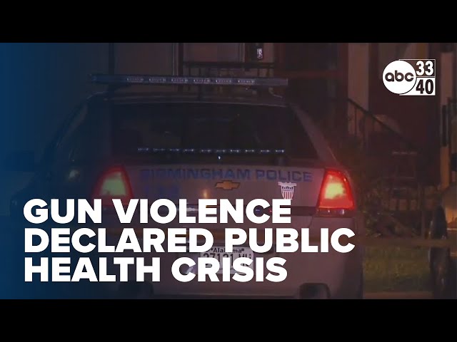 'You never recover from it': Lives changed by gun violence, public health crisis declared