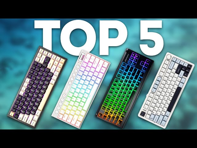 BEST BUDGET GAMING KEYBOARDS OF 2024 | Top 5 Best Budget Gaming Keyboards [2024]