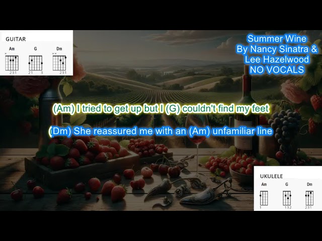 Summer Wine NO VOCALS (no capo) by Nancy Sinatra and Lee Hazelwood play along with chords and lyrics