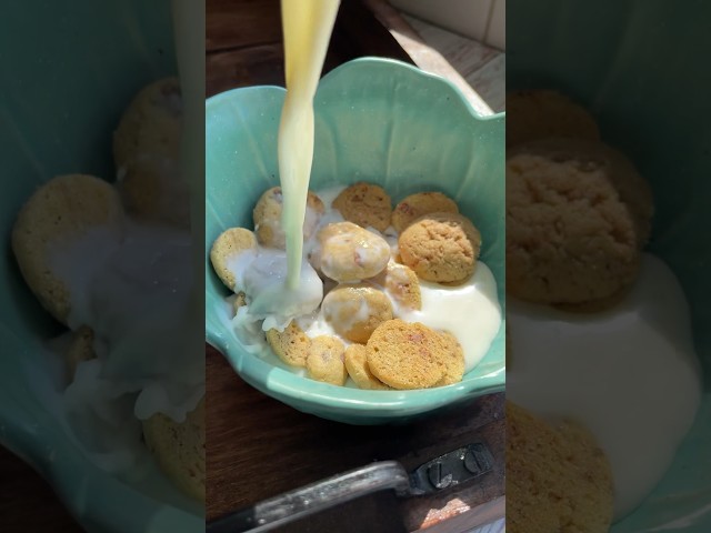 Homemade Cookie Crisp Cereal For Kids Breakfast. #kidsbreakfastrecipe #breakfast