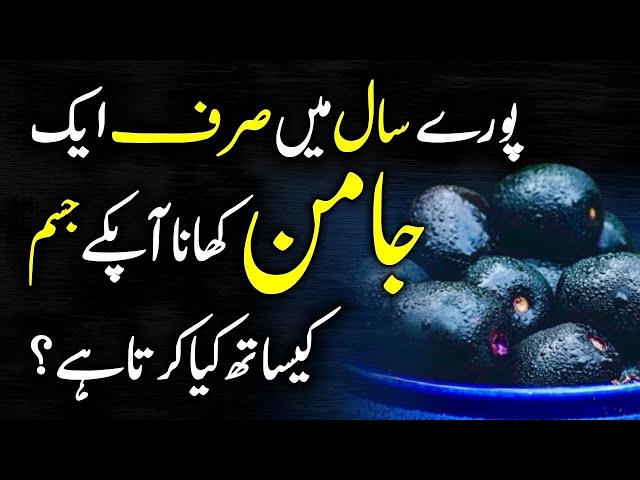 What Happens To⁬ Your Body If You Eat 1 Jambolan (Java Plum, Jamun) In A Year Then  Urdu Hindi