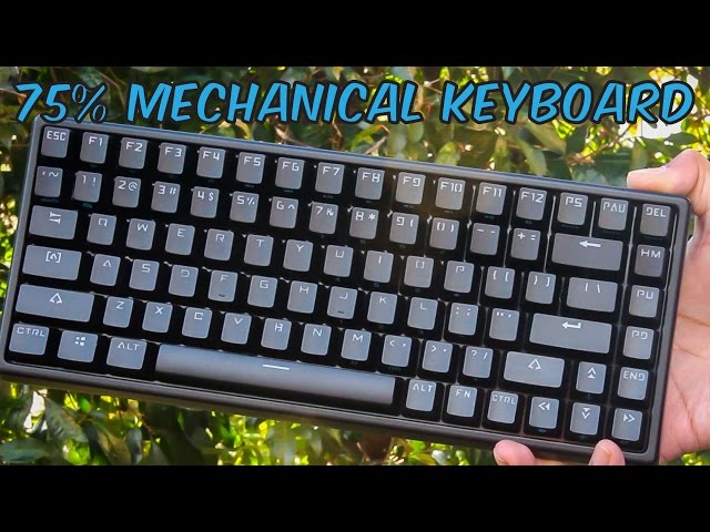 Drevo Gramr 84 75% Gaming Mechanical Keyboard - Unboxing & Review