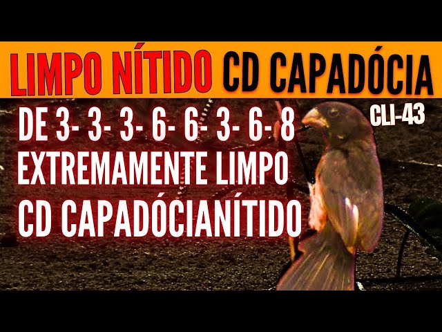 CD CAPADÓCIA CURIÓ COM REPETIÇÃO DE 3- 3- 3- 6- 6- 3- 6- 8 EXTREMAMENTE LIMPO NÍTIDO CD CAPADÓCIA