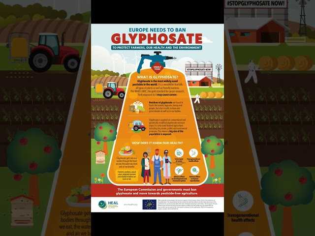 Glyphosate in the EU: Health Risks and Environmental Concerns| WizProPlus #shorts #fyp