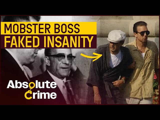 The Crazy Crime Boss That Faked Insanity To Escape Capture | FBI Files
