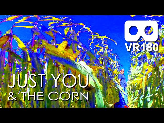 VR180 Serenity ASMR: Just You & The Corn. Alone Together In Virtual Reality