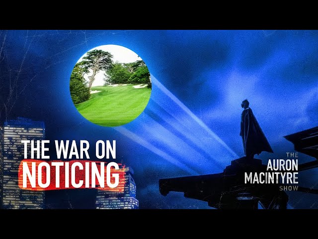 The War on Noticing | Guest: Steve Sailer | 6/26/24