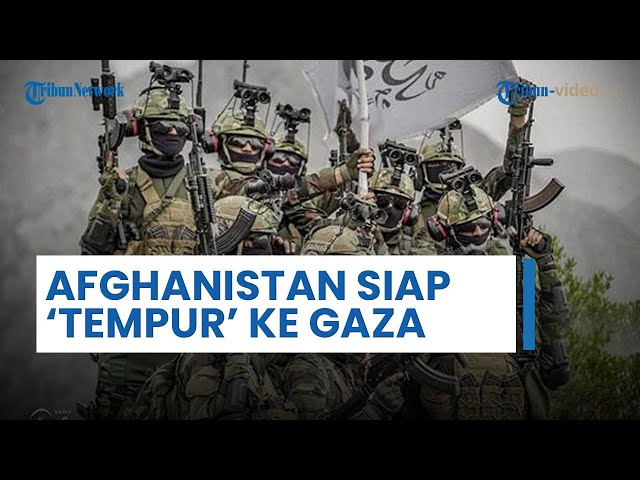 Ribuan Pejuang Afghanistan Siap Menuju & Bertempur di Gaza, Iran-Taliban Siap Hancurkan Rezim Israel