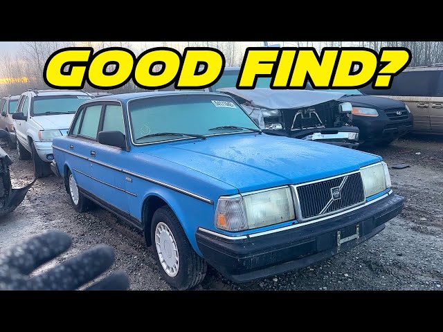 Mint Volvo 240? Auction Car Hunting Episode 2!