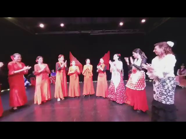 180 3D VR Flamenco Performance Palmas Brisbane Australia 2019