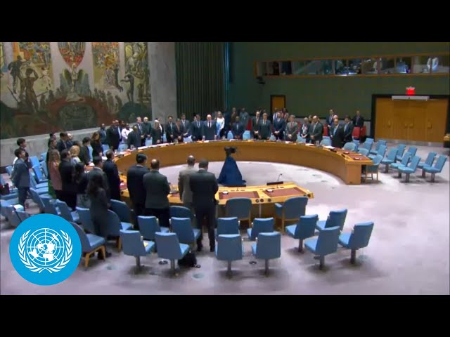 Mourning Iran's President & Foreign Minister - Minute of silence at UN Security Council