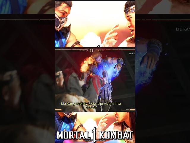 MK1 Sub-Zero vs Liu Kang XRAY/fatal blow