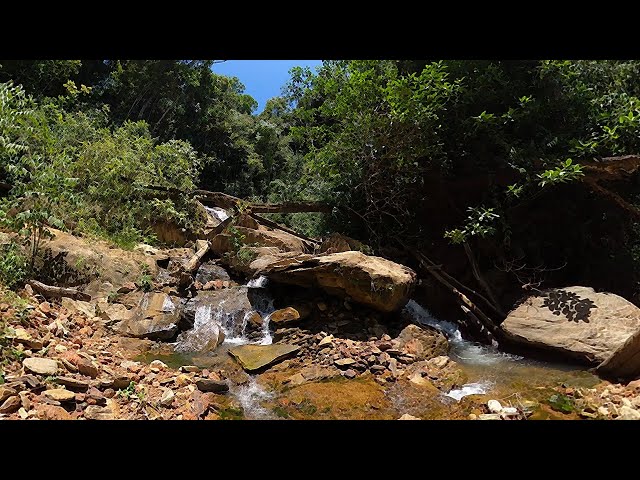 A Waterfall Hidden Deep In The Rainforest [360°] • Jungle Vlog