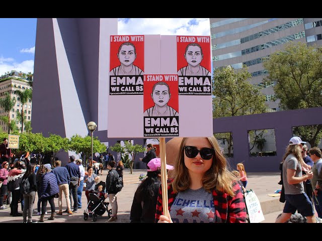 Lalo Alcaraz’s “I Stand with Emma” – American Art Moments
