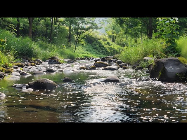 Relax with Natural Sounds | Sound of Flowing Water & Birds Singing | Reduce Stress and Anxiety