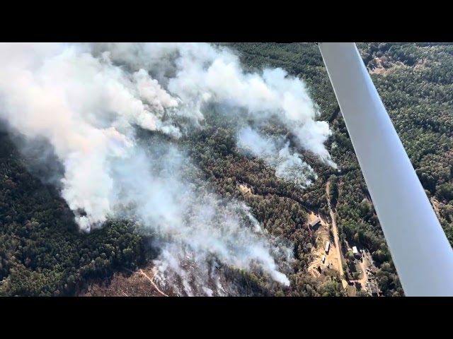 Attala County Wildfire - 50 Acres
