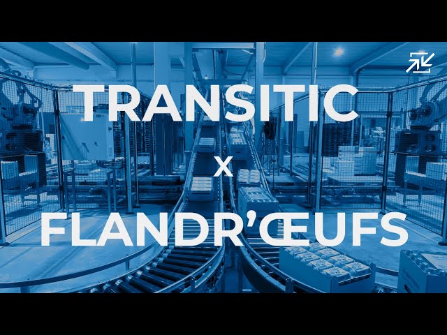 TRANSITIC X FLANDR'OEUFS