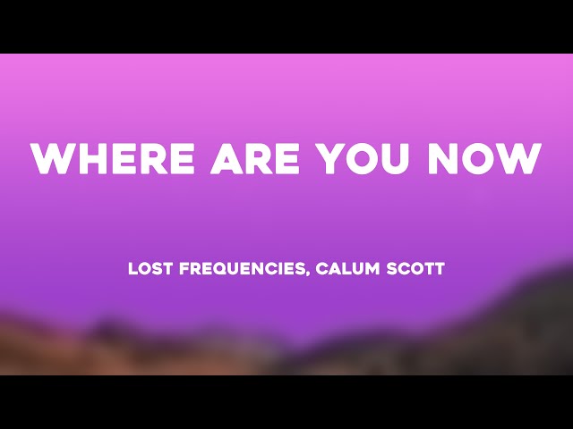 Where Are You Now - Lost Frequencies, Calum Scott (Lyrics) 🌹