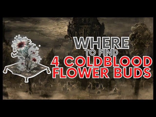 BLOODBORNE: WHERE TO FIND FOUR COLDBLOOD FLOWERBUD (RITUAL MATERIAL)