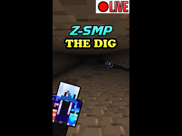 Continue The Dig In Minecraft Survival SMP [ Vertical Stream ]